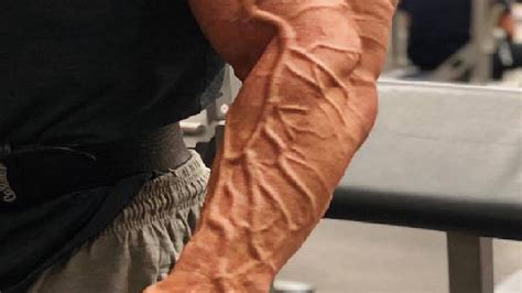 Massive Veiny Monster Cock